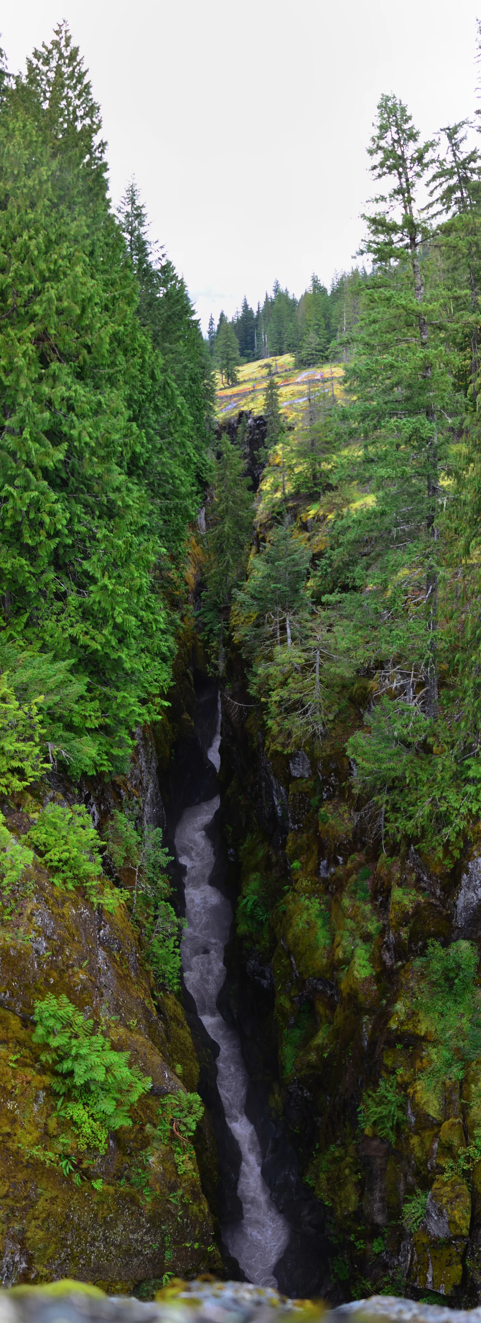 Box Canyon of the Cowlitz, Mount Rainier National Park, Trans Mercator projection pano 01 — Packwood airbnb marketing