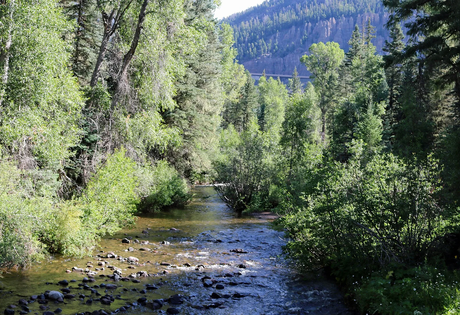 Wolf Creek, Mineral County — Pagosa Springs airbnb marketing