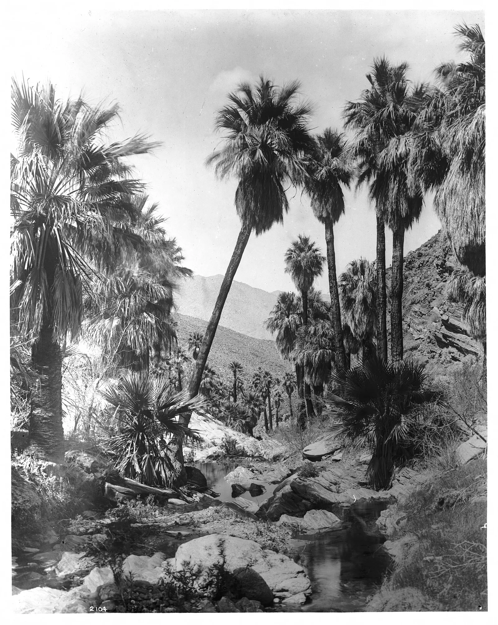 Palm Springs Local Landmark — Palm Springs airbnb marketing