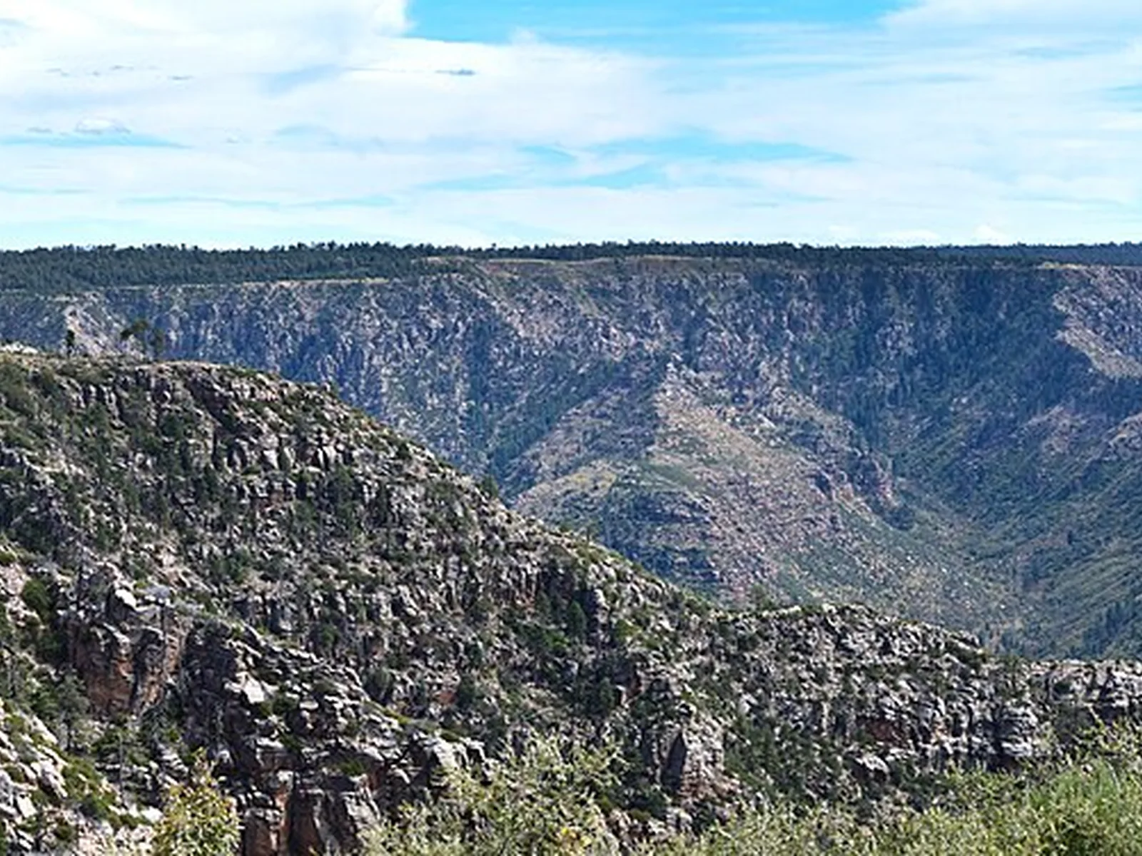 The Mogollon Rim — Pinetop-Lakeside airbnb marketing