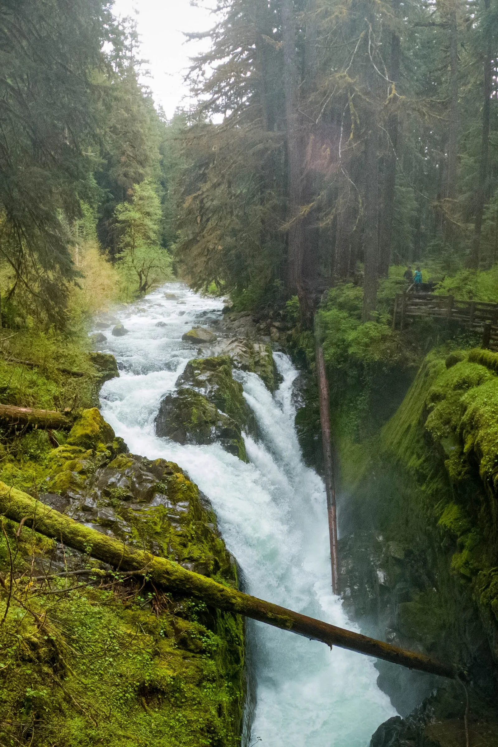 Sol Duc Falls 3 — Port Angeles airbnb marketing