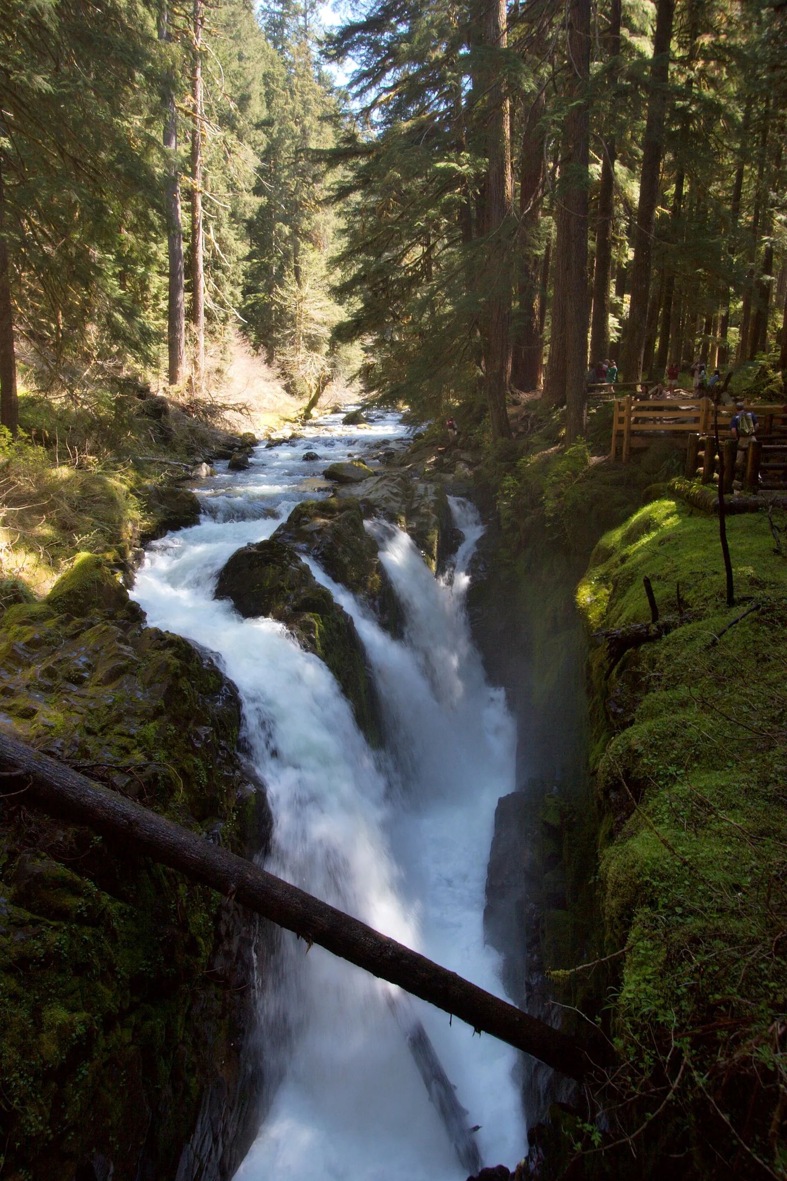 Sol Duc Falls 3 — Port Angeles airbnb marketing