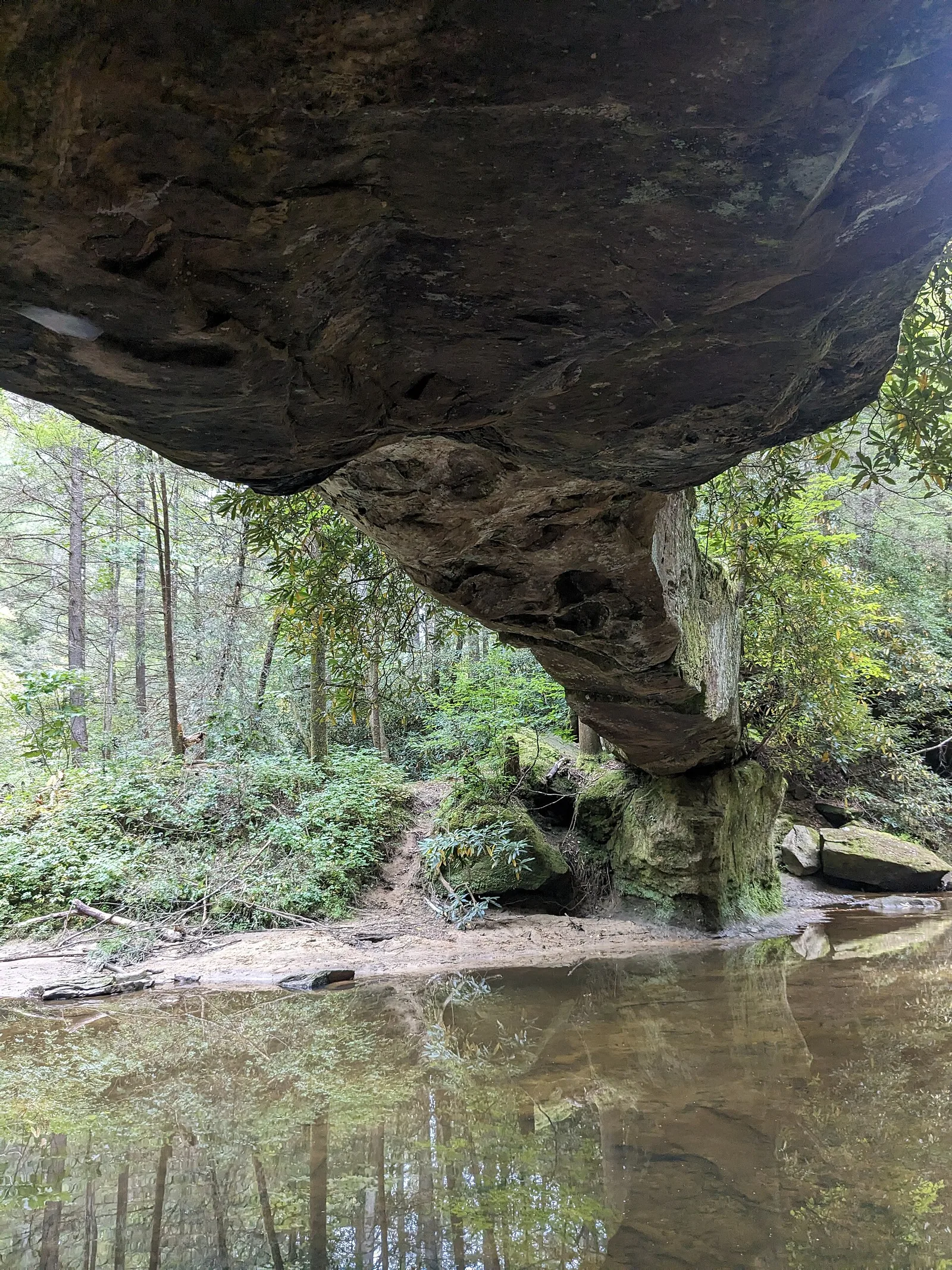 Rock Bridge Underside, Red River Gorge, Kentucky, USA — Red River Gorge airbnb marketing