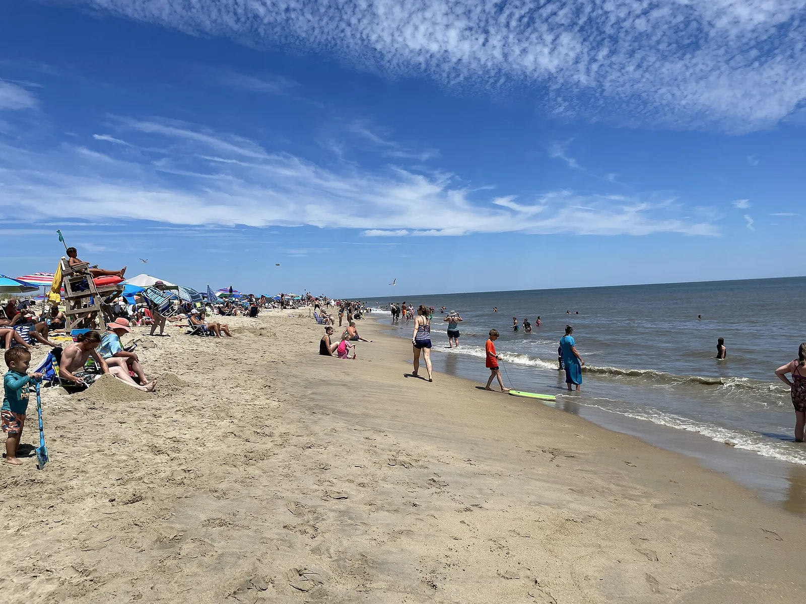 Cape Henlopen State Park beach looking north July — Rehoboth Beach airbnb marketing