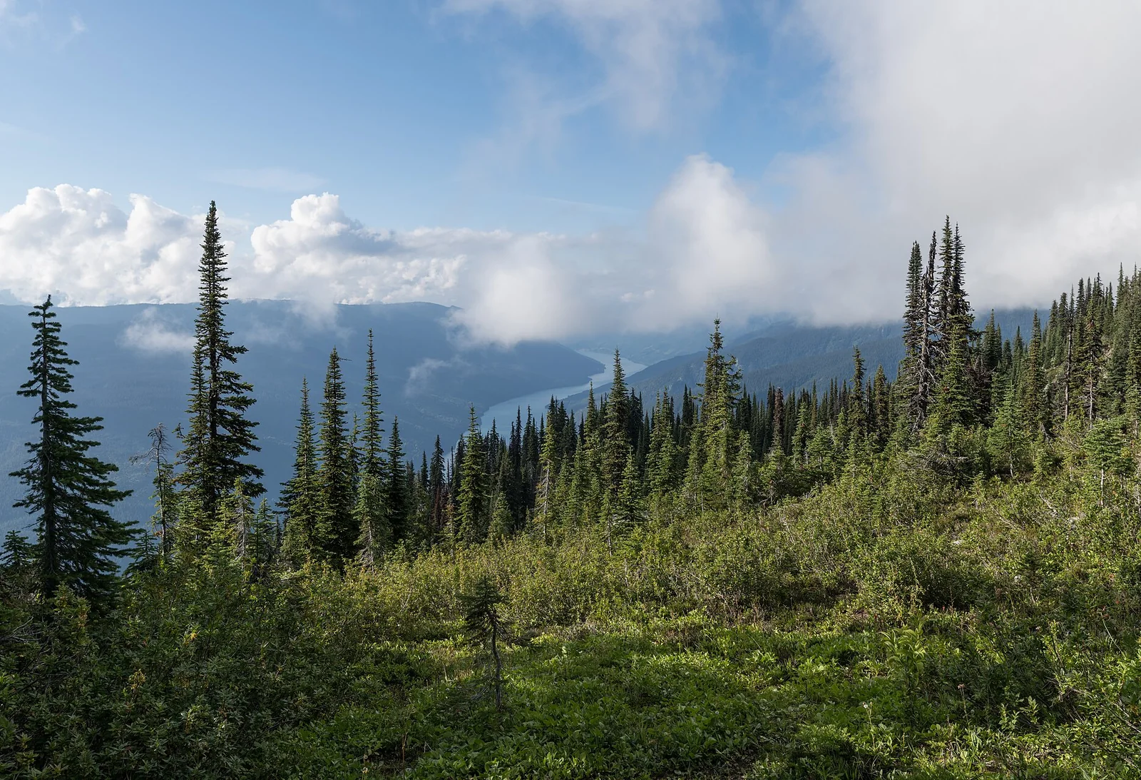 Lake Revelstoke from Mount Revelstoke — Revelstoke airbnb marketing