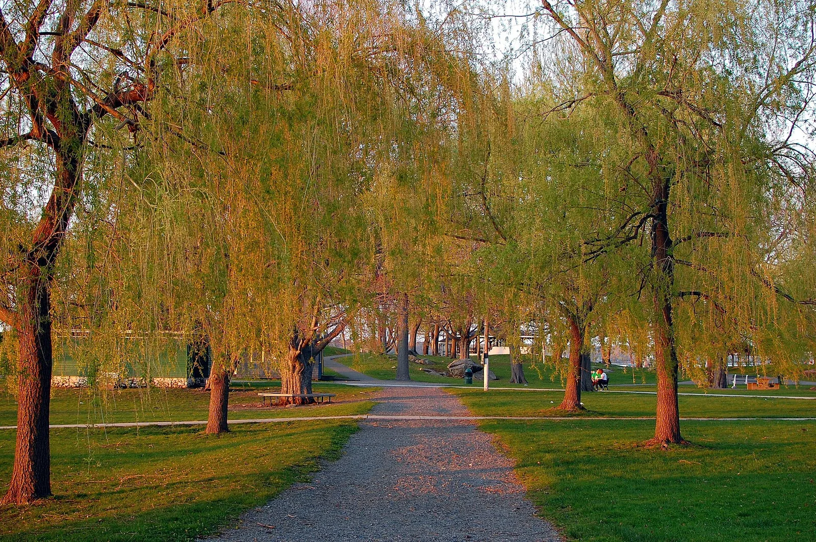 Salem Willows Path — Salem Massachusetts Derby Wharf