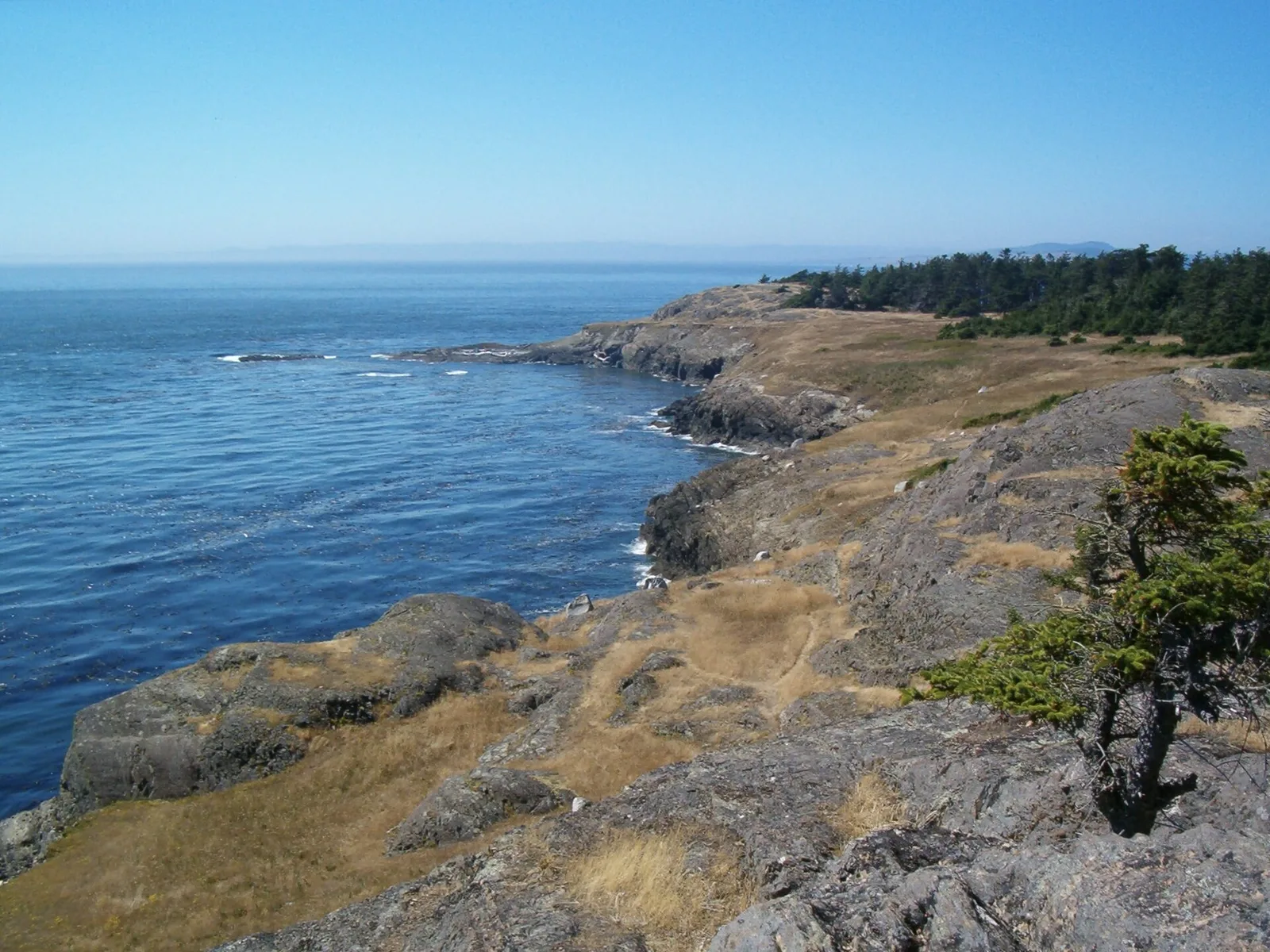 Iceberg Point Lopez Island Washington USA — San Juan Islands airbnb marketing