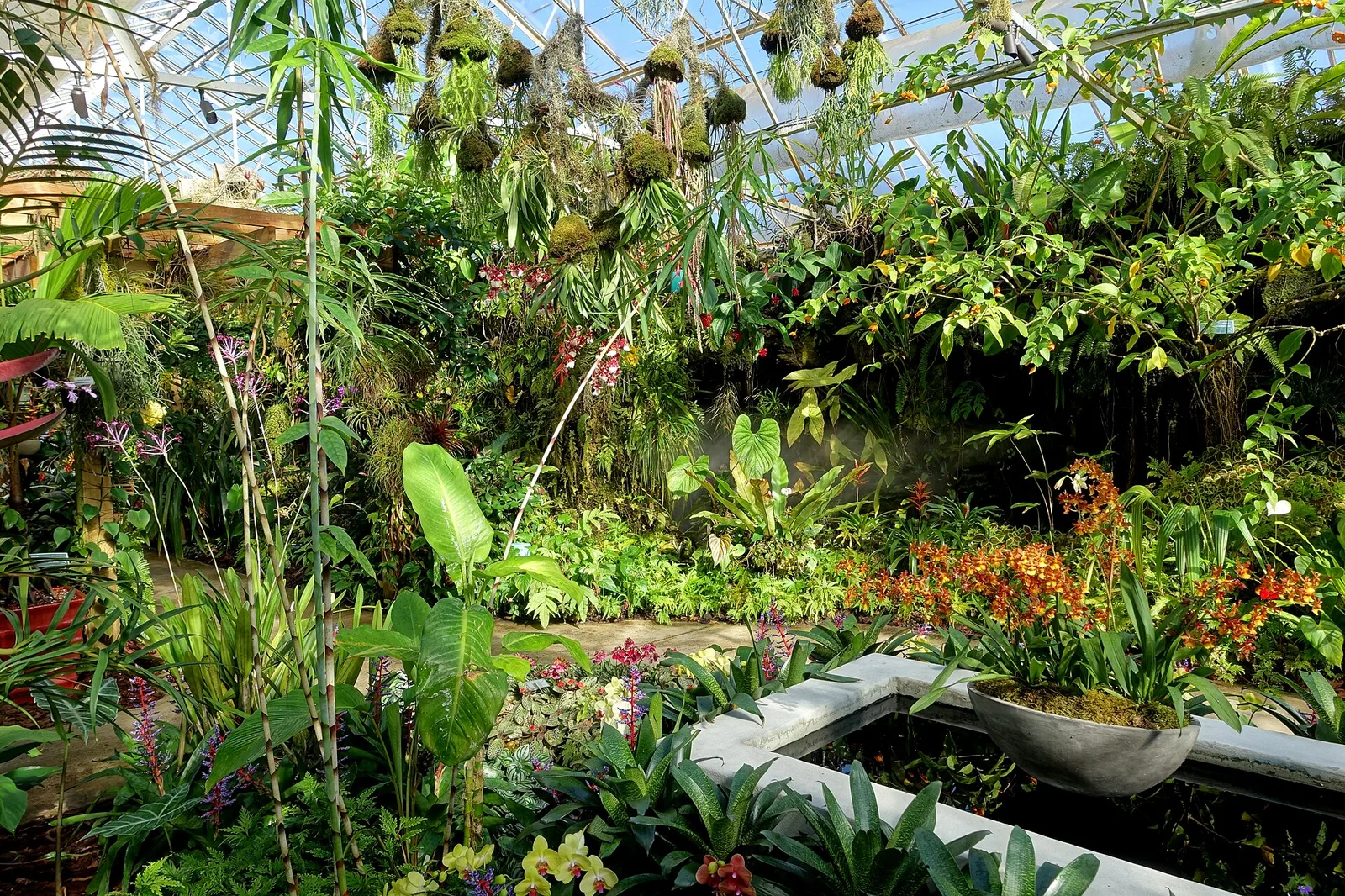 Interior view Marie Selby Botanical Gardens Sarasota, Florida DSC00855 — Sarasota airbnb marketing