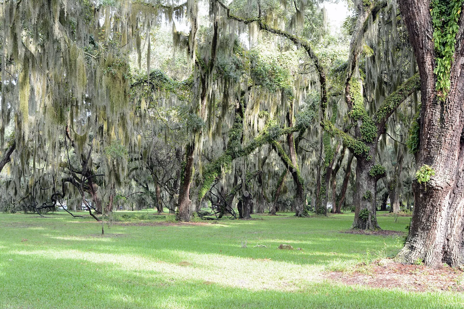 St. Simons Park, St. Simons, GA, US — Sea Island airbnb marketing