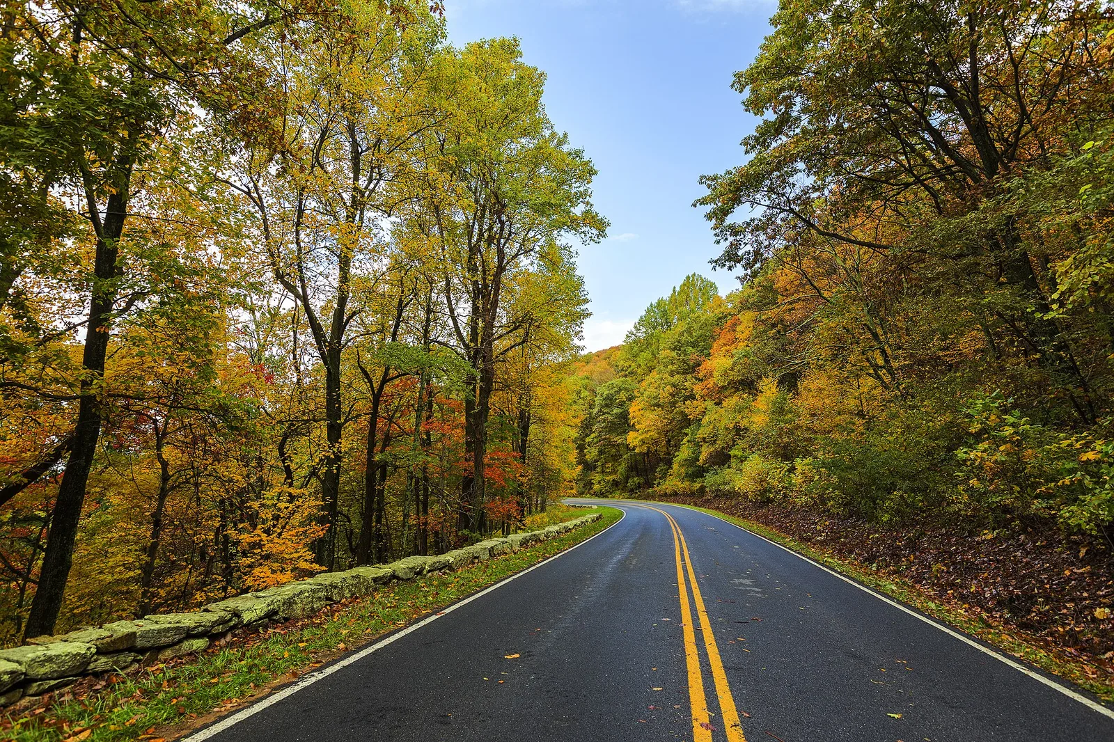 Skyline Drive in the Fall — Shenandoah Valley airbnb marketing