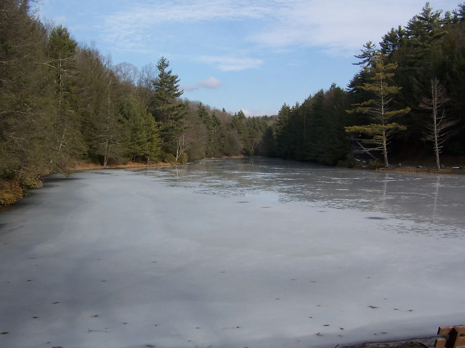 Seneca State Forest — Snowshoe airbnb marketing
