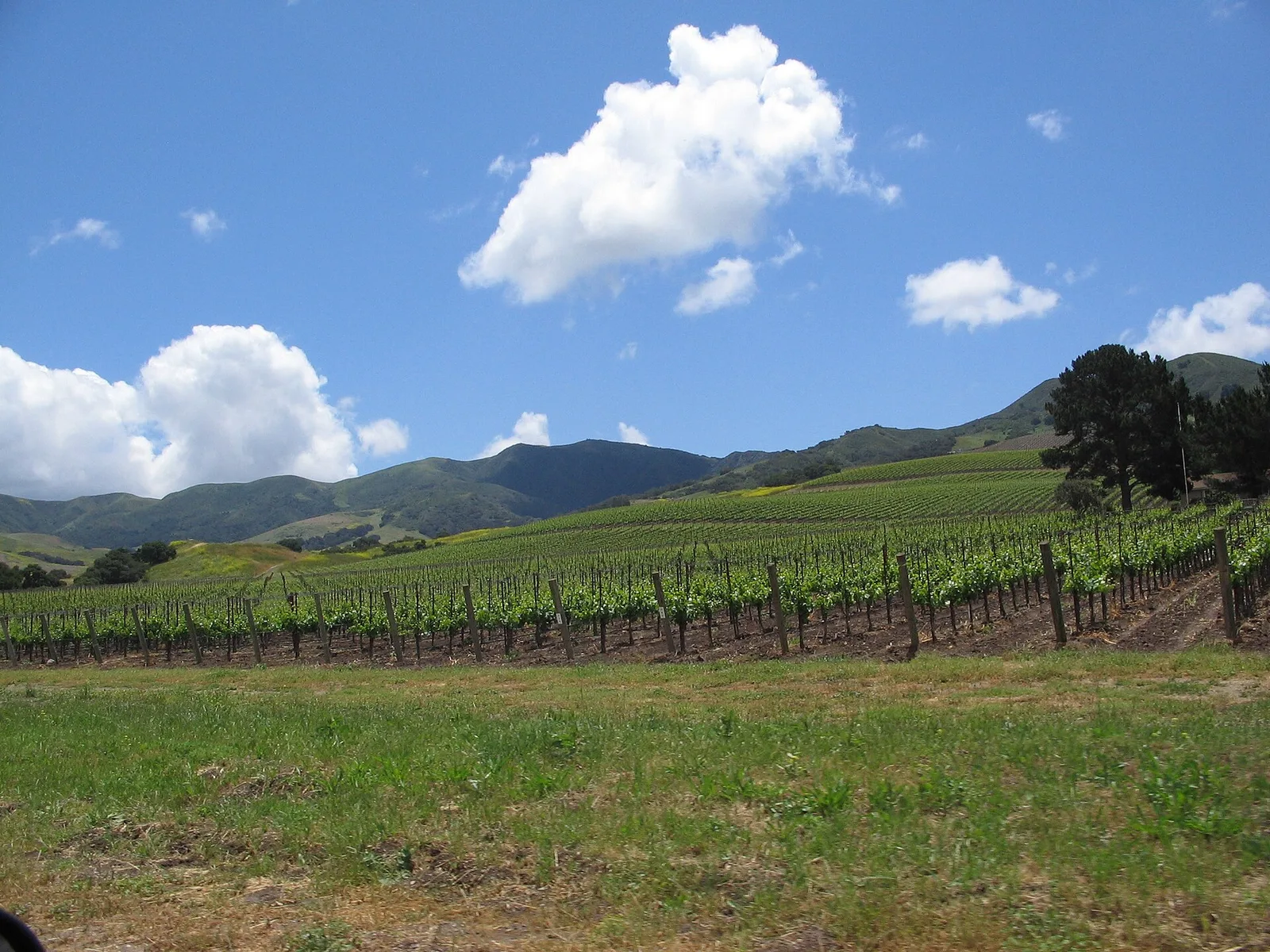 Santa Ynez Valley — Solvang airbnb marketing