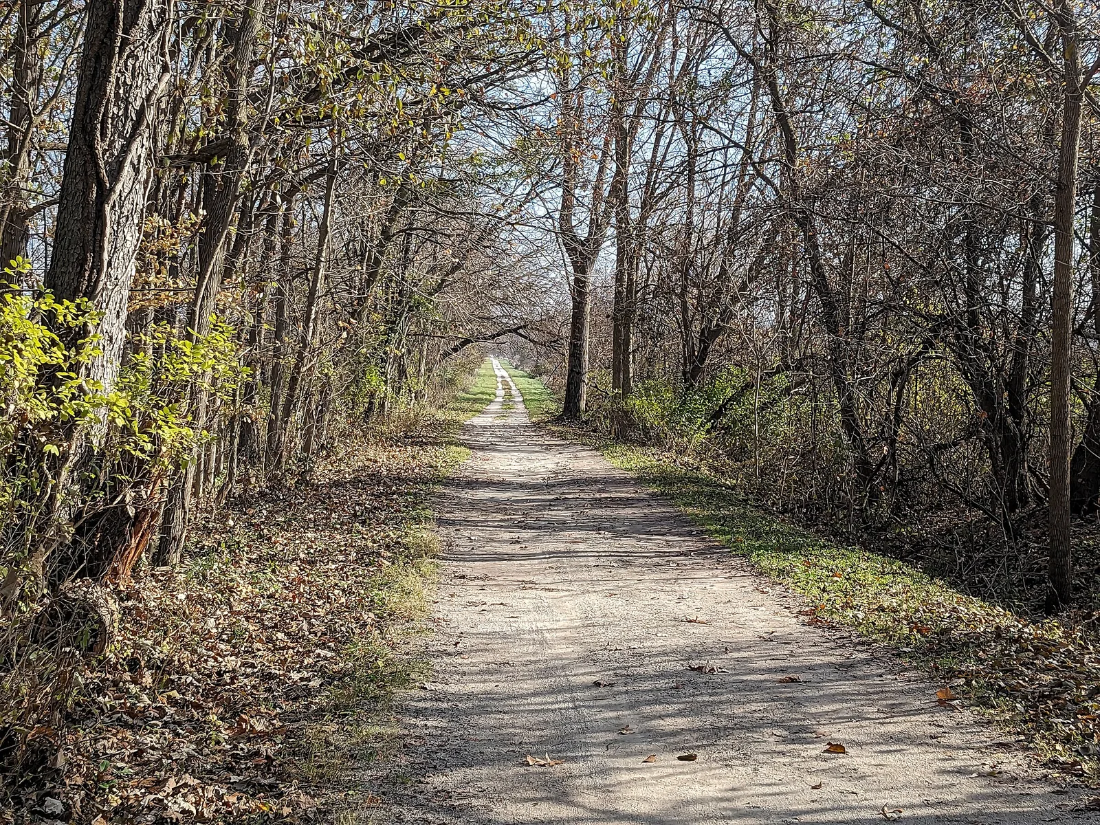 Kal Haven Trail facing east towards Alamo, MI — South Haven airbnb marketing