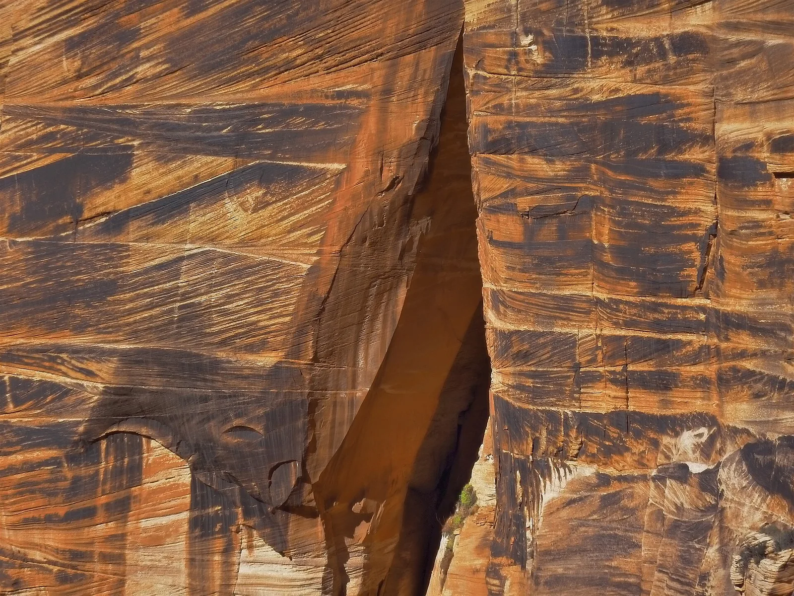 Crossbeds in Navajo Sandstone Zion NP Utah USA — Springdale airbnb marketing
