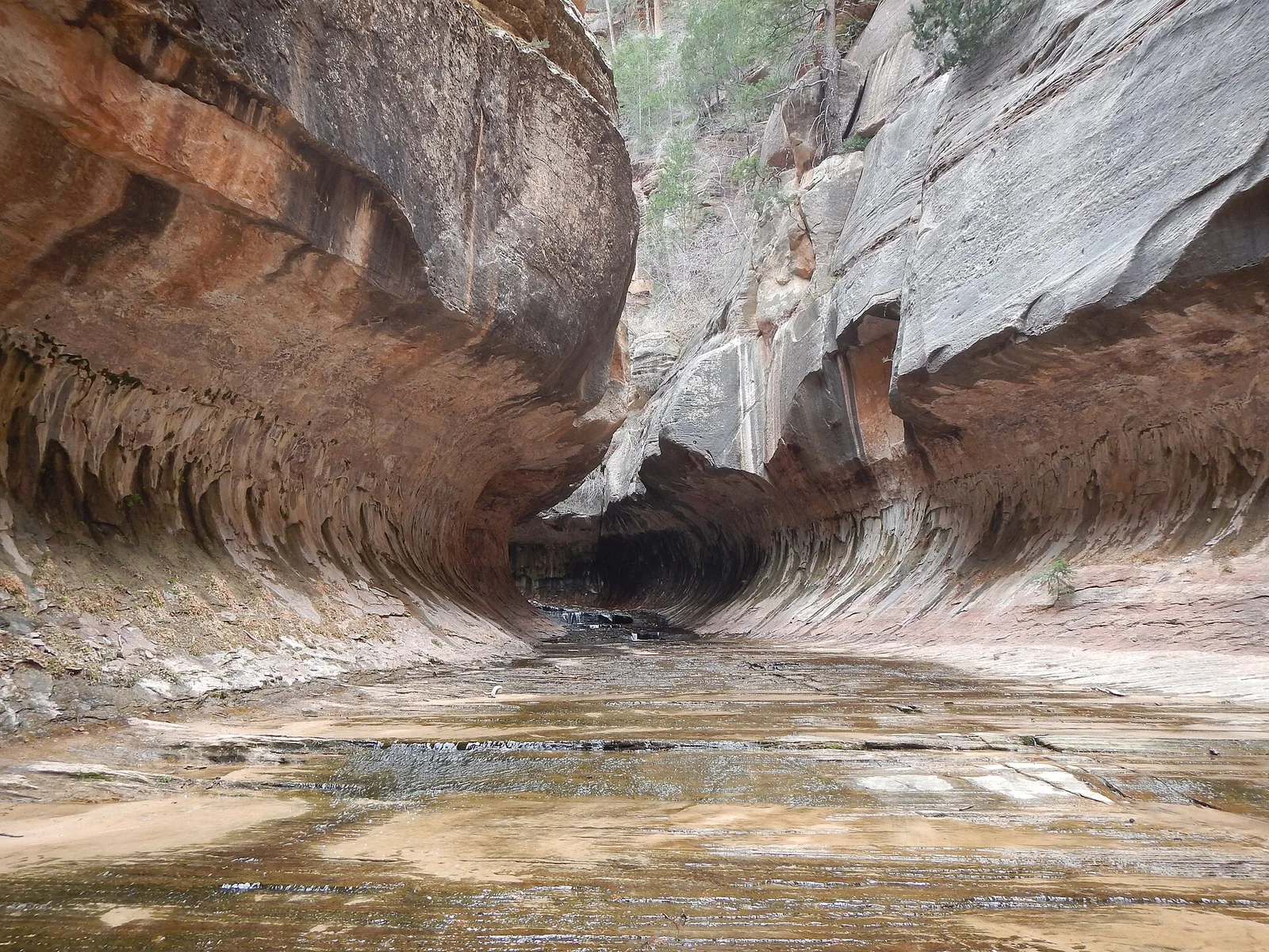 Subway Zion1 — Springdale airbnb marketing