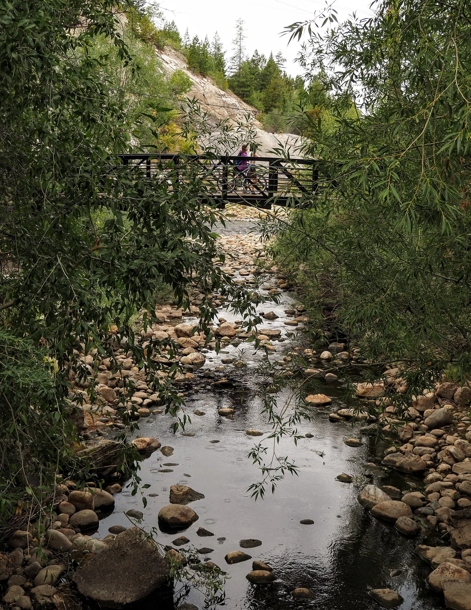 Soda Creek at Yampa River confluence — Steamboat Springs airbnb marketing