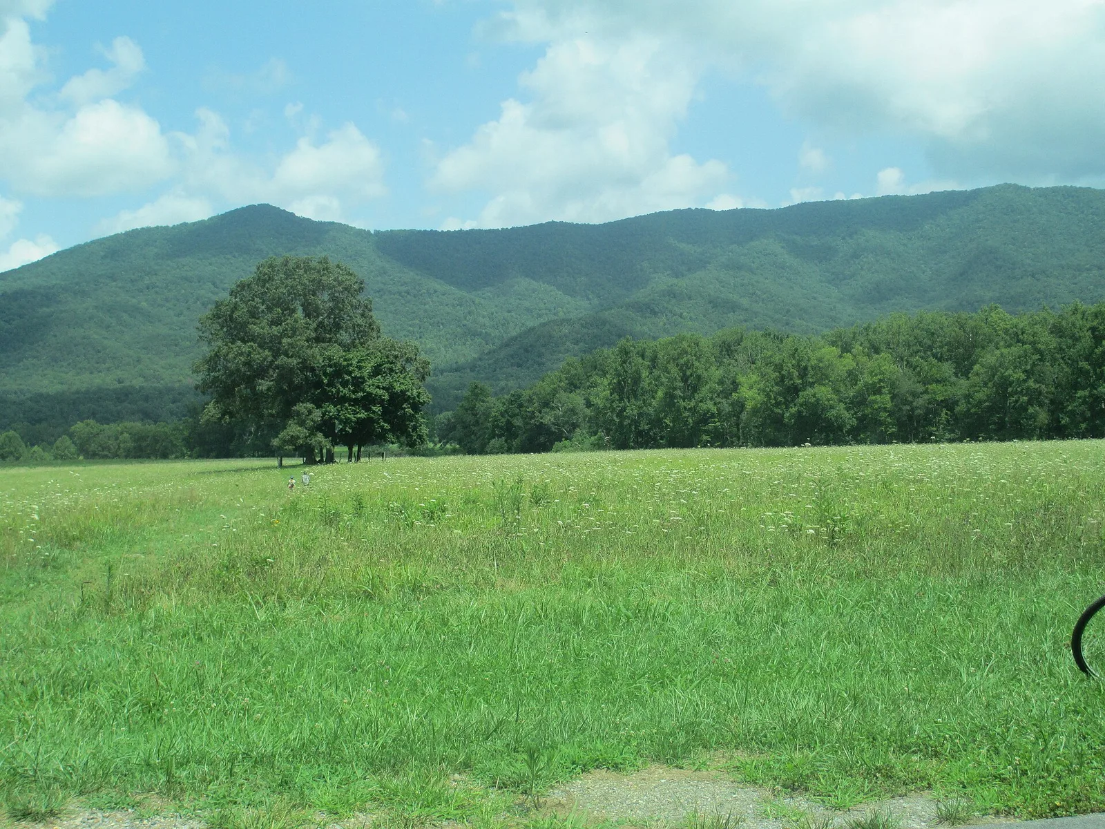 Another view of the Cades Cove area IMG — Townsend airbnb marketing