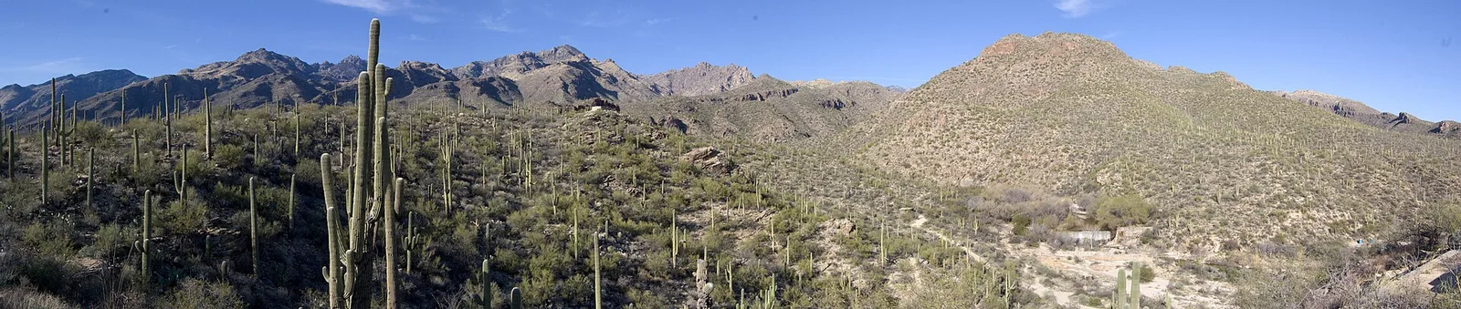 Sabino Canyon — Tucson airbnb marketing