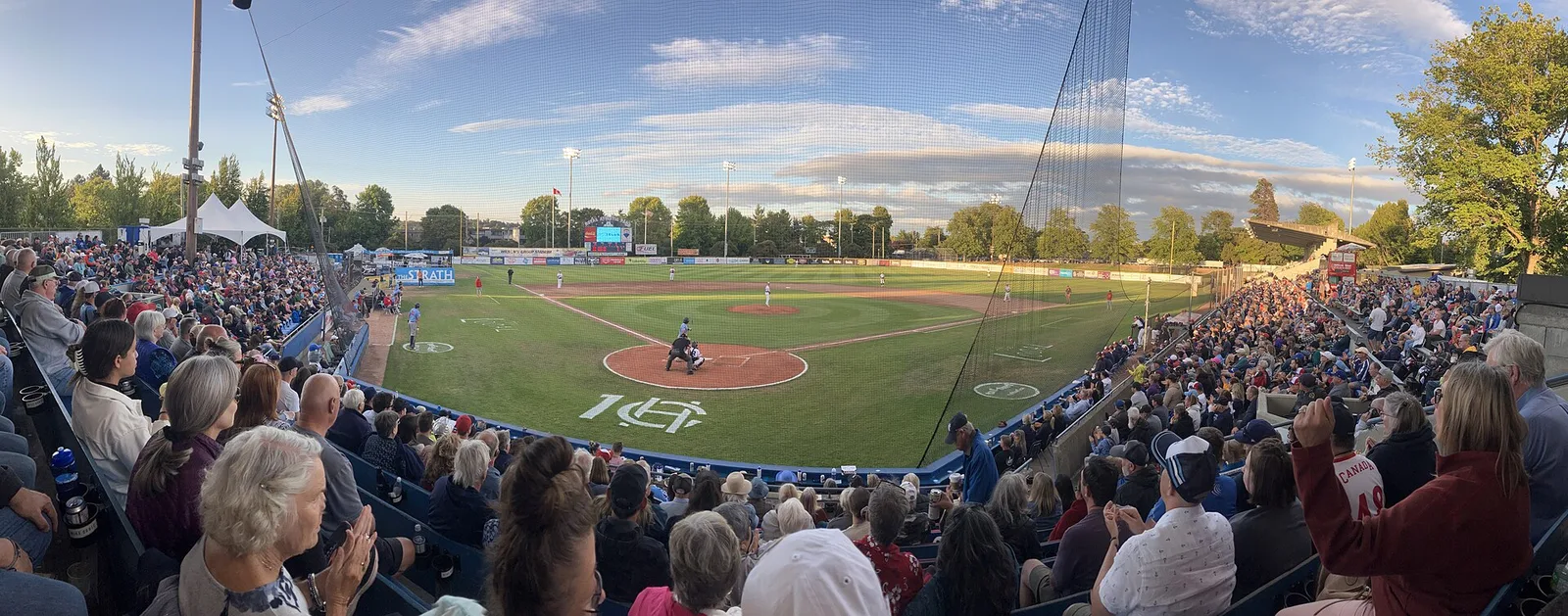 2023 08 09 HarbourCats Baseball 26 — Victoria airbnb marketing