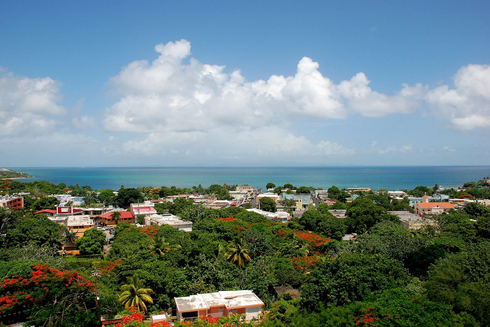 Isabel Segunda, Vieques, Puerto Rico — Vieques airbnb marketing