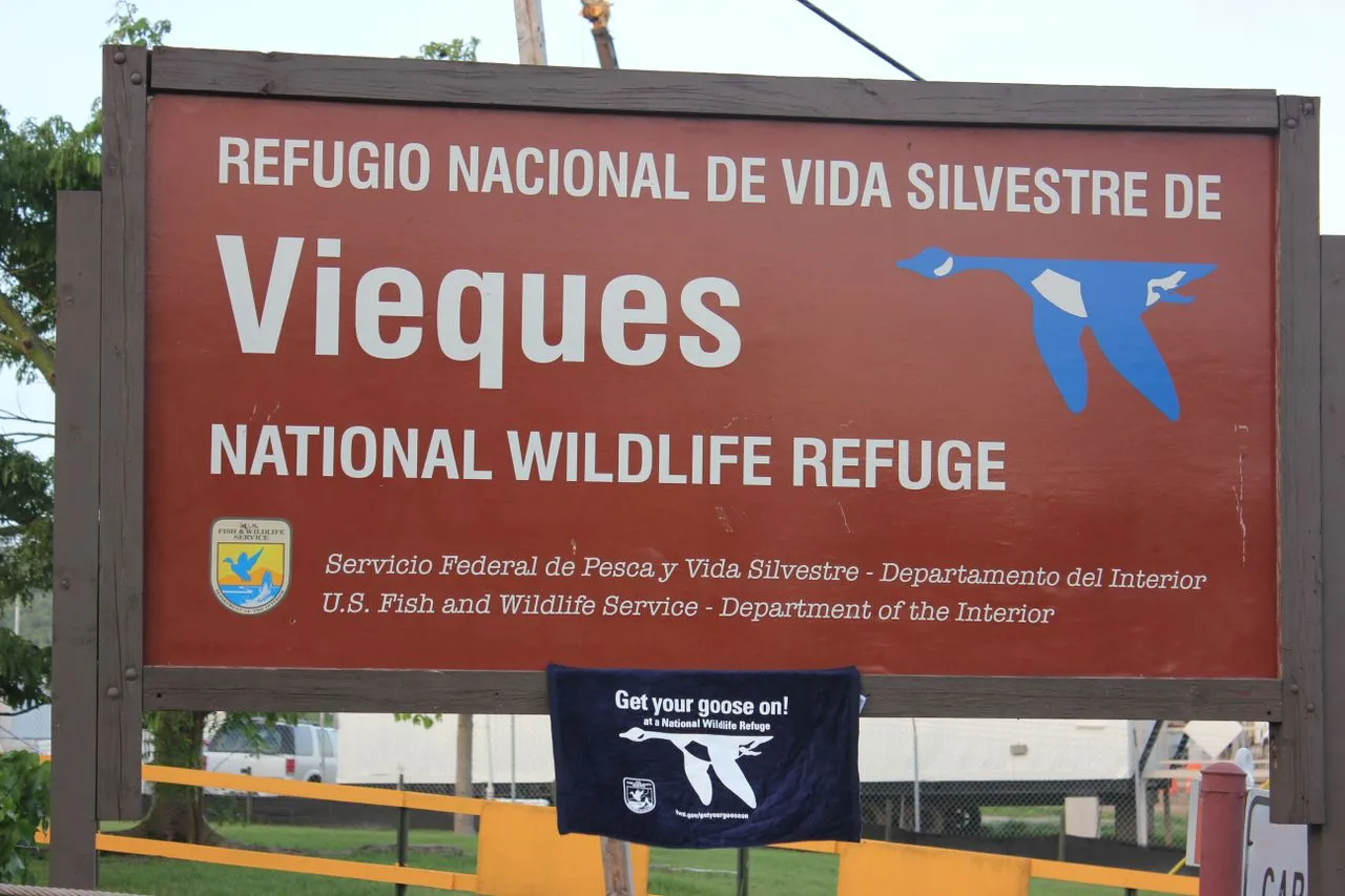 Vieques National Wildlife Refuge — Vieques airbnb marketing