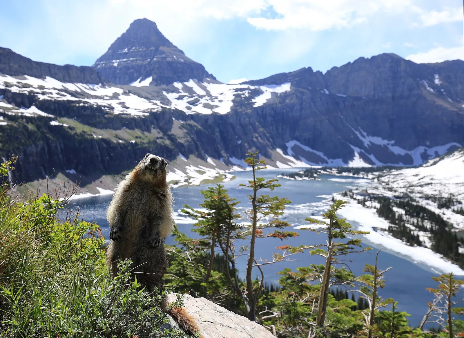 2015 06 19 Glacier National Park — Whitefish airbnb marketing
