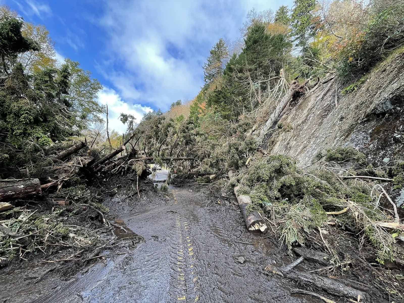 Blue Ridge Parkway Sawyer Work October 20, 2024 3 — Wintergreen airbnb marketing